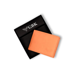 GBK Brisk Wallet