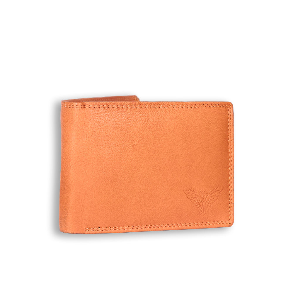 GBK Brisk Wallet