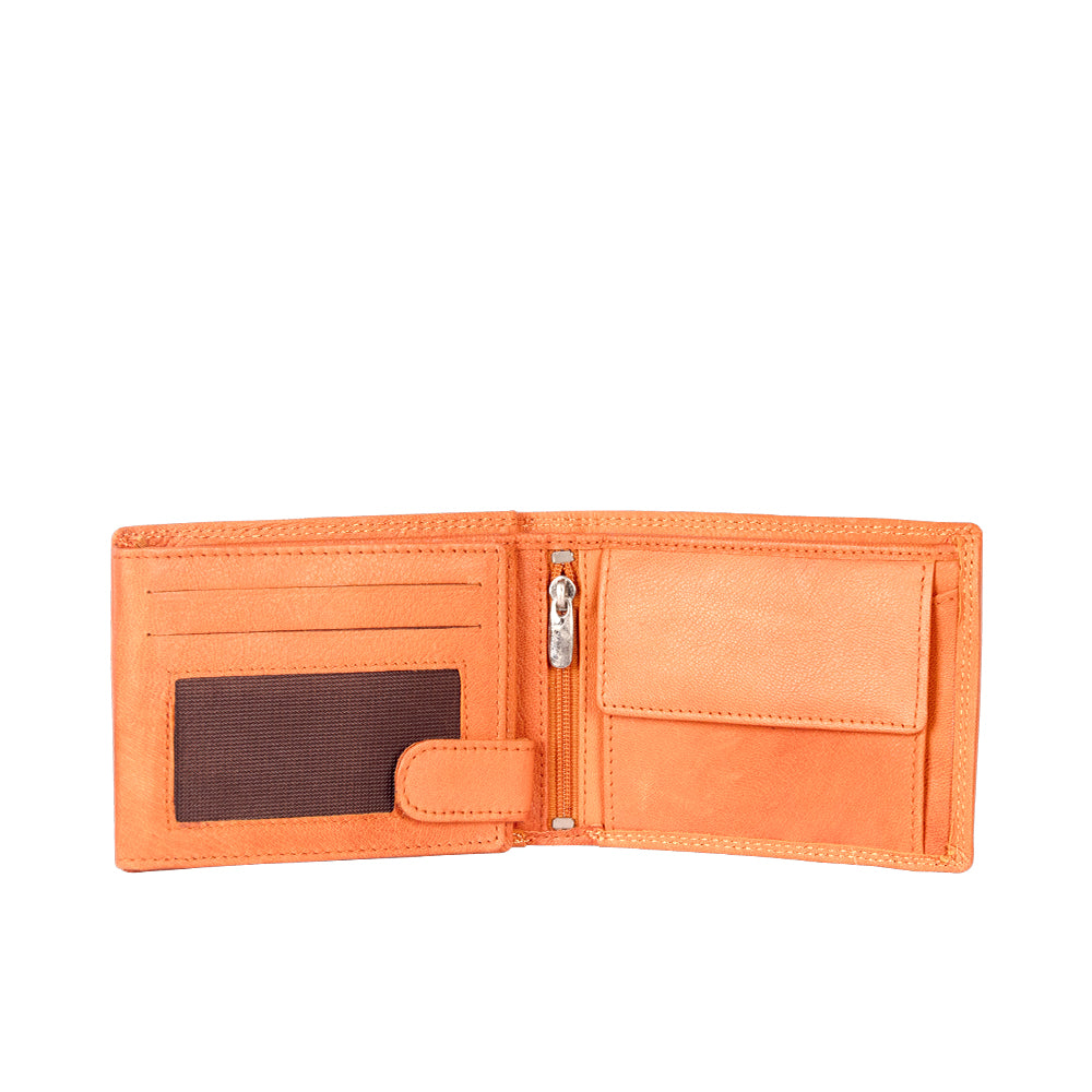 GBK Brisk Wallet